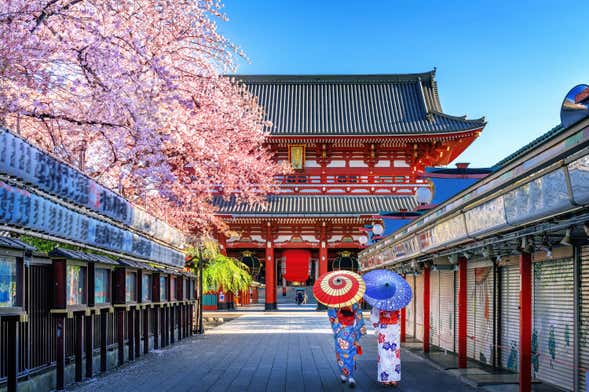 Free tour di Asakusa