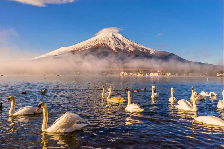 Paesaggi naturali del Monte Fuji