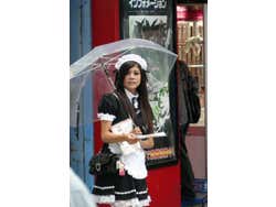 Maid Cafe Akihabara, ragazza distribuendo volantini pubblicitari