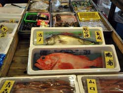 Mercato del pesce di Tokyo