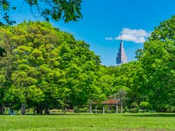 Parco Yoyogi