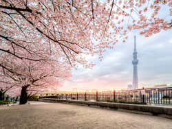 Tokyo Skytree