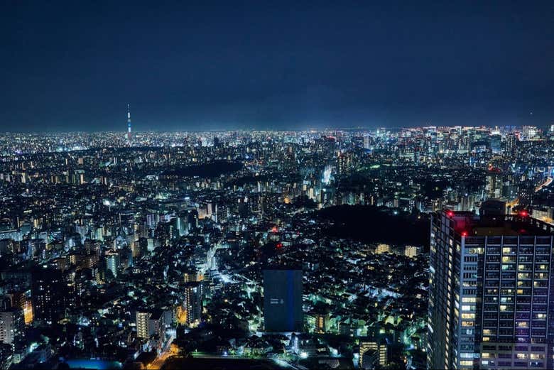 Vista di Tokyo al crepuscolo dall'osservatorio