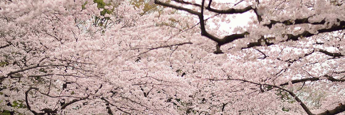 Parco Ueno