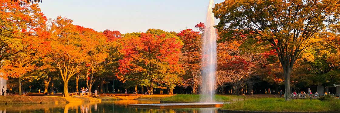 Parco Yoyogi