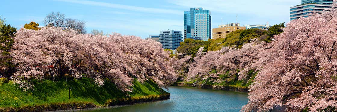Il tempo a Tokyo
