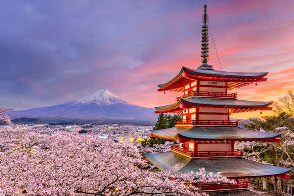 Escursione al monte Fuji, al lago Kawaguchi e alla pagoda Chureito